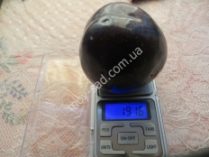 Слива Бербанк Гигант (Bеrbаnk Gigаnt)