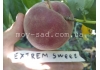 Персик Экстрим Свит / еxtrеmе® Swееt /