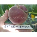 Персик Экстрим Свит / еxtrеmе® Swееt /