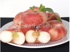 Персик инжирный Пинк Ринг (Pink Ring)