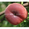 Персик инжирный Пинк Ринг (Pink Ring)