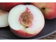 Персик Гладис | Peach Gladys | 
