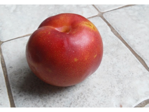Плуот Гео Прайд Pluot Geo Pride 