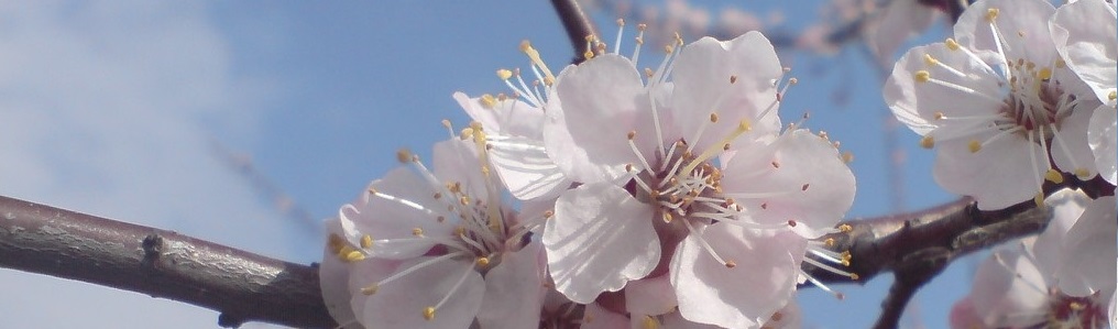 887948DSC04552-001